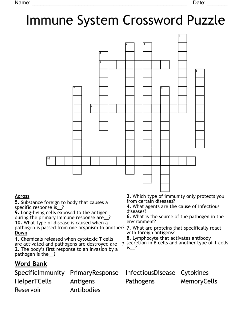 Immune System Crossword Puzzle WordMint Immune System Crossword Puzzle WordMint