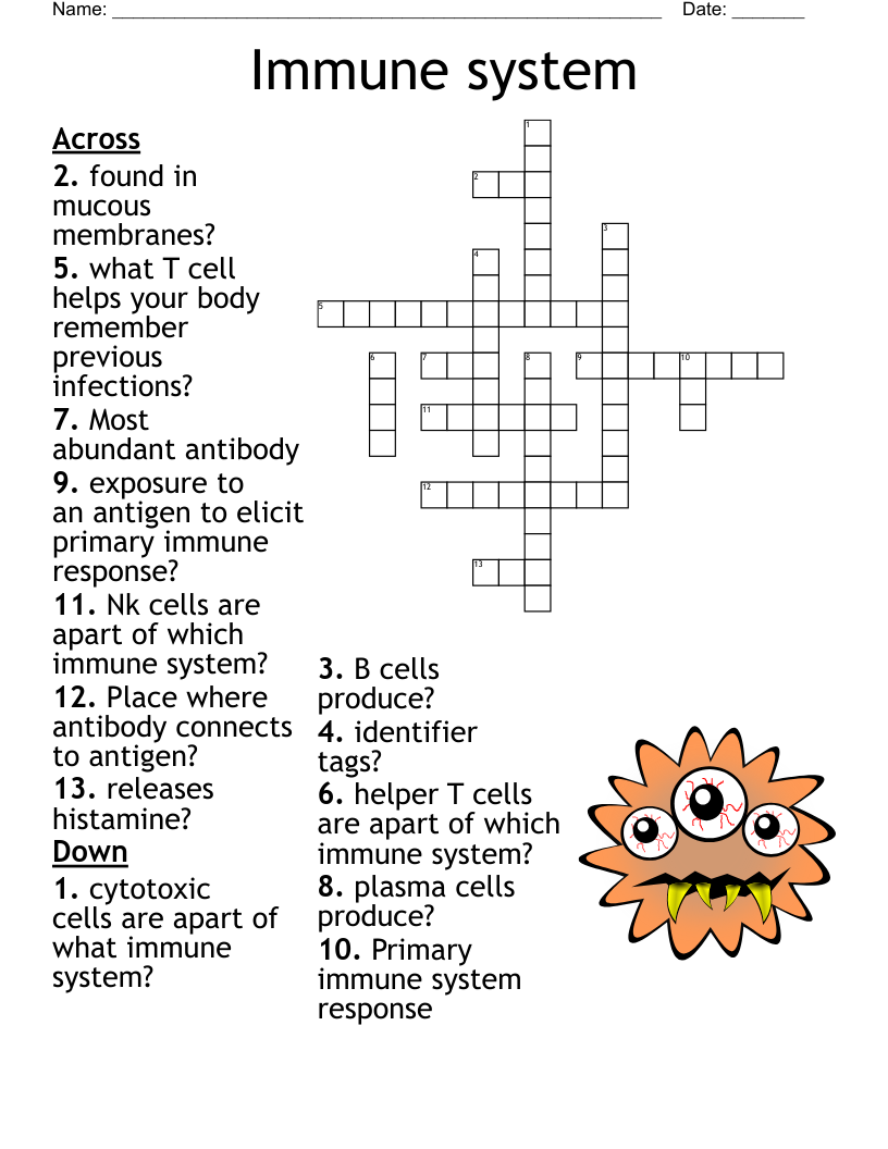 Immune System Crossword WordMint Immune System Crossword WordMint