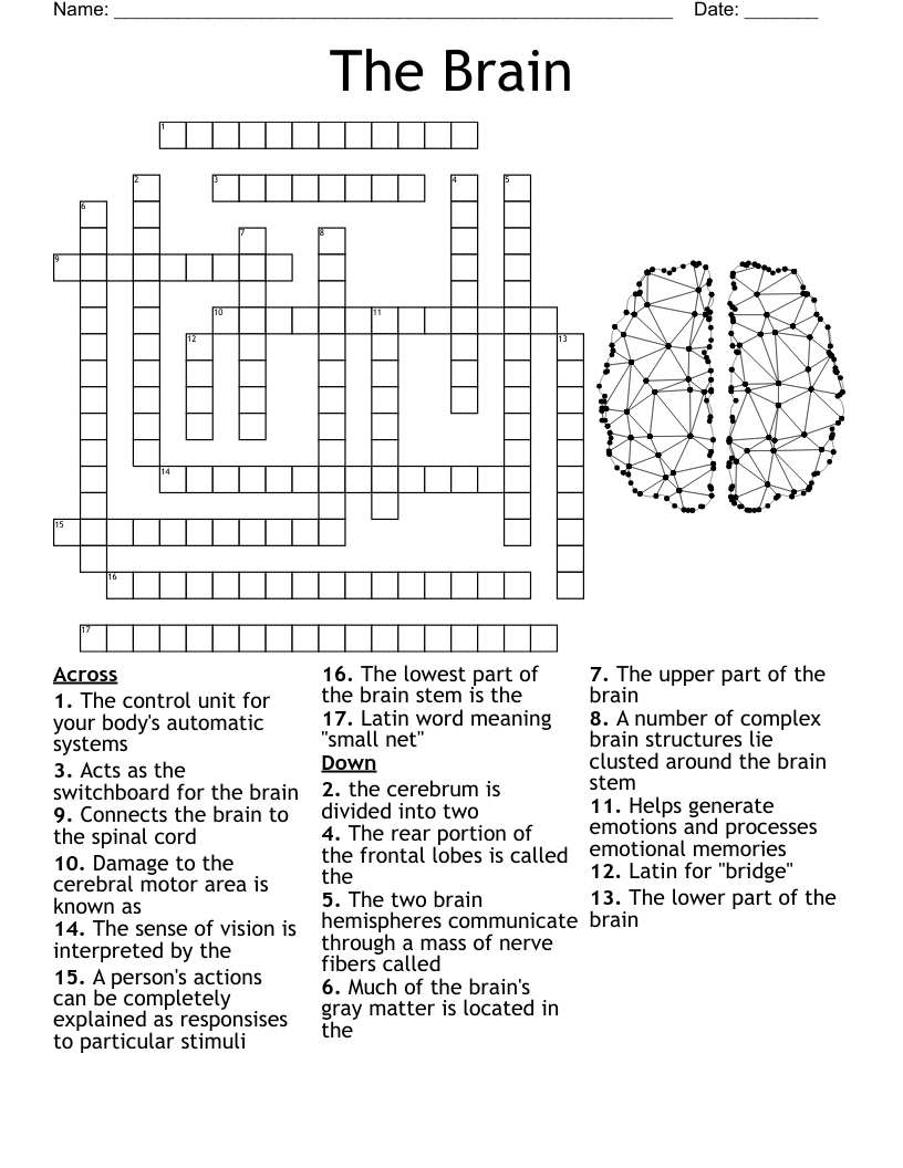 Newsday Crossword Puzzle Brains Only Printable Newsday Crossword Puzzle Brains Only Printable