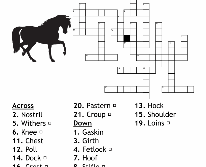 Points Of The Horse Crossword WordMint