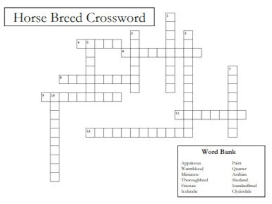 Popular Horse Breeds Crossword Puzzle Skill a thons Quiz Bowls Classic Breeds Practice Worksheet Etsy