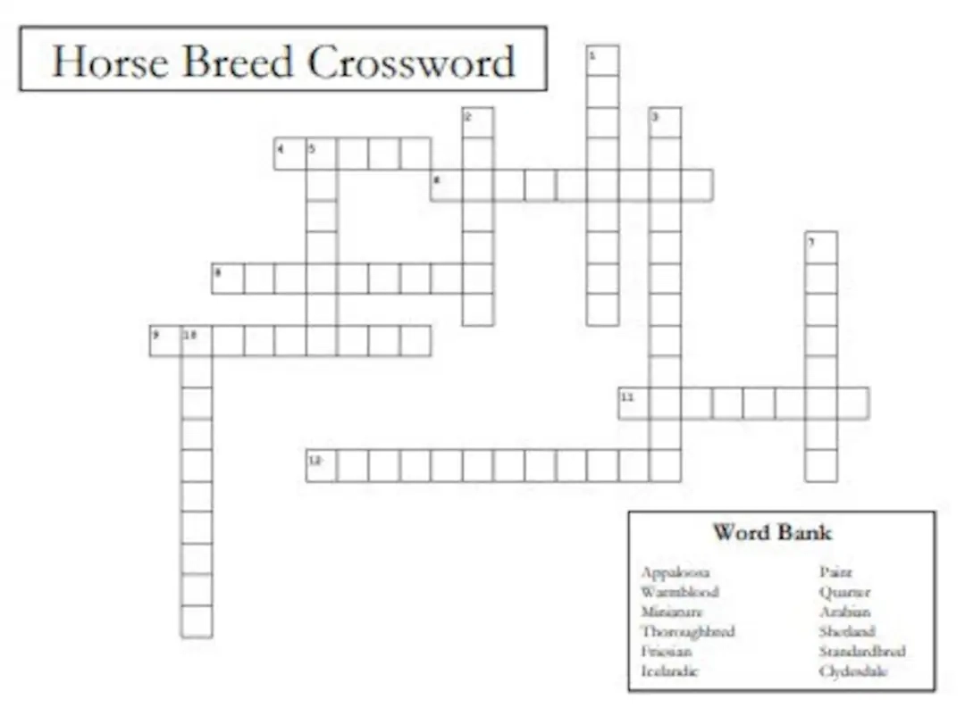 Popular Horse Breeds Crossword Puzzle Skill a thons Quiz Bowls Classic Breeds Practice Worksheet Etsy
