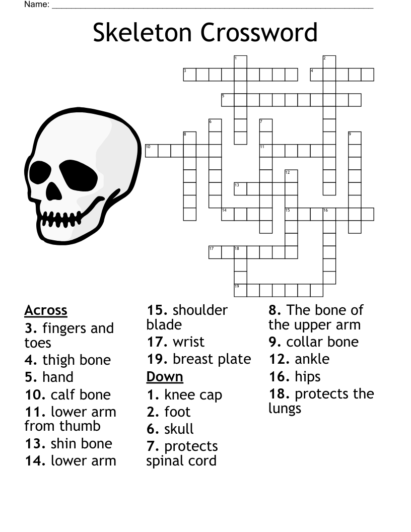 Printable Skeleton Crossword Puzzles
