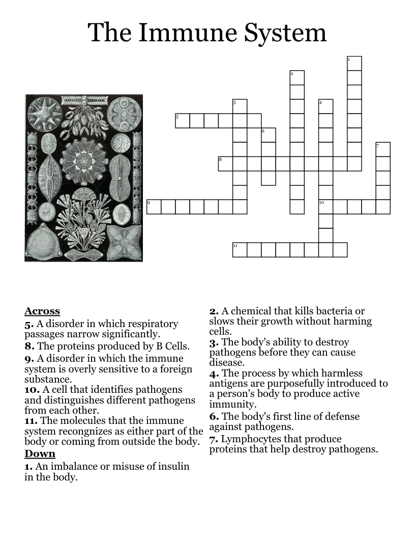 Immune System Crossword Printable Immune System Crossword Printable