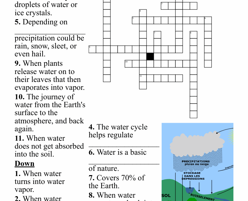 The Water Cycle Crossword WordMint